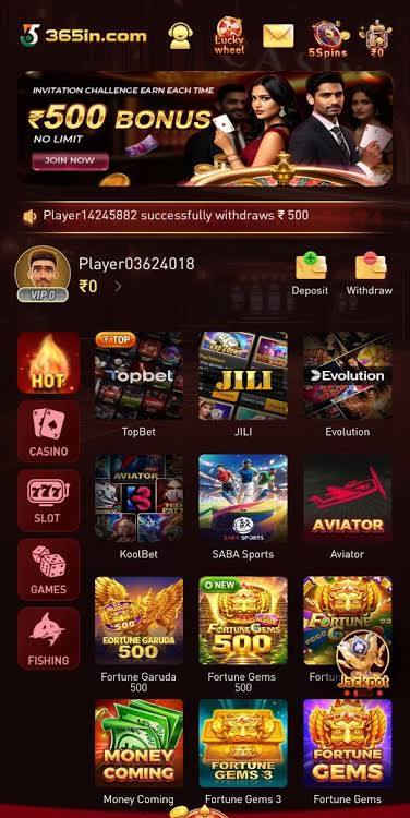 365in